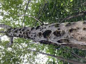 IMG_6685.jpeg