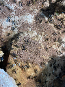 104.jpeg