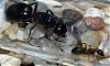 DSC_0122_bearbeitet-1.jpg