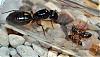 DSC_0128_bearbeitet-2.jpg